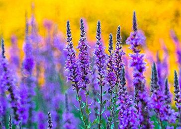 Windows 12发布时间曝光：微软重磅更新